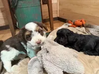 processed/deca9e76-a031-48cb-86be-3b394aadd62c/listing/b81be767-51c3-4843-bb9c-d5f0ed4e0e8f/14f4f7cf-f920-4292-b2d1-a6dd779e60da