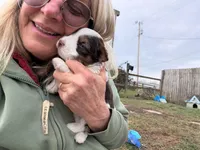 processed/deca9e76-a031-48cb-86be-3b394aadd62c/listing/b81be767-51c3-4843-bb9c-d5f0ed4e0e8f/38c48e46-efb9-420d-b988-b7a9eda09094