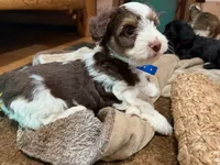 processed/deca9e76-a031-48cb-86be-3b394aadd62c/listing/b81be767-51c3-4843-bb9c-d5f0ed4e0e8f/3a573aee-e9ce-479d-a2ca-2cb304a511c7