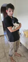 Holly, a female Collie for sale in Amherst, VA – 7 of 9