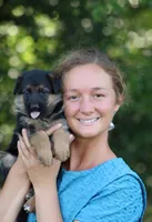 Cassie, a female German Shepherd Dog for sale in Montezuma, GA – Photo 5 of 8