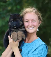 Cowboy, a male German Shepherd Dog for sale in Montezuma, GA – Photo 8 of 10