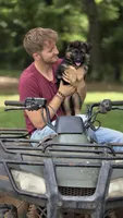 Captain, a male German Shepherd Dog for sale in Montezuma, GA – Photo 6 of 10