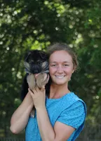 Celeste, a female German Shepherd Dog for sale in Montezuma, GA – Photo 5 of 9