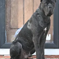 processed/dee1016b-cc7c-425b-bb07-dfdb1e3a0063/facility/0d8c9086-f1df-4d5c-81fd-0fa4594861d4