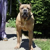 processed/dee1016b-cc7c-425b-bb07-dfdb1e3a0063/facility/29cd27a0-b062-447d-808e-d1184be6334e