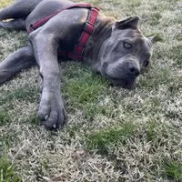 processed/dee1016b-cc7c-425b-bb07-dfdb1e3a0063/facility/77525128-ab7a-459a-9fdb-8862ac9c0c04