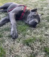 processed/dee1016b-cc7c-425b-bb07-dfdb1e3a0063/facility/77525128-ab7a-459a-9fdb-8862ac9c0c04