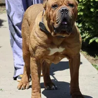 processed/dee1016b-cc7c-425b-bb07-dfdb1e3a0063/facility/93749b4f-37bc-4537-bf83-f2484ee38241