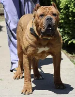 processed/dee1016b-cc7c-425b-bb07-dfdb1e3a0063/facility/93749b4f-37bc-4537-bf83-f2484ee38241