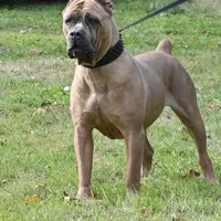 processed/dee1016b-cc7c-425b-bb07-dfdb1e3a0063/facility/e5136700-e72e-46de-865a-80d48b0ab62e