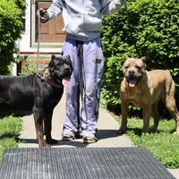 processed/dee1016b-cc7c-425b-bb07-dfdb1e3a0063/facility/ee46ff2d-2cd4-4a91-a929-c9cc70e19b42