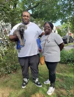 Roxy , a female Cane Corso for sale in Newark, DE – 5 of 10