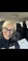 Rex, a male Cane Corso for sale in Newark, DE – 9 of 10