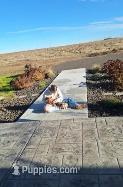 processed/dee818aa-a932-40ce-9008-ca3b3d56c5b6/facility/114b3dd6-89b6-4646-a045-2322aae6d221