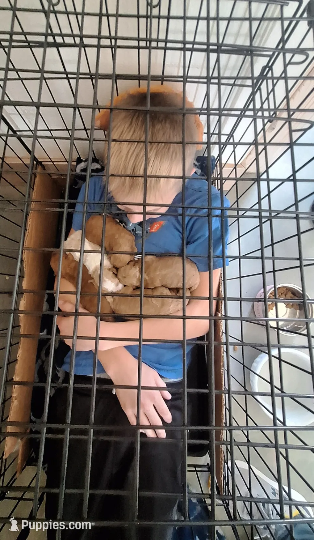 processed/dee818aa-a932-40ce-9008-ca3b3d56c5b6/facility/408ddb70-d9fd-4b54-85c8-5030b949d6ea