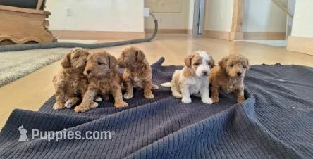 processed/dee818aa-a932-40ce-9008-ca3b3d56c5b6/facility/9b29f267-9cfa-42ca-9ba9-26c0523fcce1