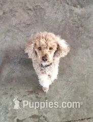 processed/dee818aa-a932-40ce-9008-ca3b3d56c5b6/facility/cd382e73-ef65-48d2-90aa-93a8f275c6c9