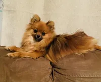 processed/deeee8c6-67a0-4cda-bfe3-3f8e663825bc/facility/017bc96e-7230-477f-9169-da57ebd35d88