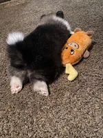 processed/deeee8c6-67a0-4cda-bfe3-3f8e663825bc/facility/6316cd36-a5bb-48ad-b97d-f619c72be6e7