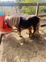 processed/deeee8c6-67a0-4cda-bfe3-3f8e663825bc/facility/7c305dc4-e29a-4350-ab55-4d715d9e4193