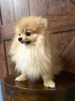 processed/deeee8c6-67a0-4cda-bfe3-3f8e663825bc/facility/8cfabc34-54cc-4cfa-b3c4-b9e4c9a9b6f8