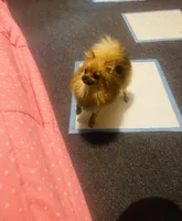 processed/deeee8c6-67a0-4cda-bfe3-3f8e663825bc/facility/9b6b41fd-b858-4f59-9c54-f81c919184d9