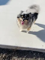 processed/deeee8c6-67a0-4cda-bfe3-3f8e663825bc/facility/a59c478b-14c2-4cf0-b948-ce4ce022e5a7