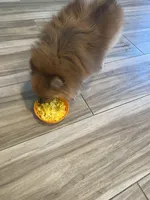 processed/deeee8c6-67a0-4cda-bfe3-3f8e663825bc/facility/d51491c5-002e-4d6b-9e33-eb674b9df984