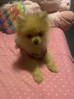 processed/deeee8c6-67a0-4cda-bfe3-3f8e663825bc/facility/df5c49ae-6883-46f6-860a-602d491e6a4c