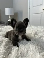 processed/deef67ab-9b61-4004-b4e9-498441072dc1/listing/f4dd4411-c204-4814-bca3-bf7278eeefc1/291de537-daeb-4971-a463-0ba3b21dcb6c