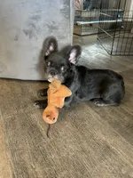 processed/deef67ab-9b61-4004-b4e9-498441072dc1/listing/f4dd4411-c204-4814-bca3-bf7278eeefc1/79018b94-1753-4433-aa36-327952d3f2c6