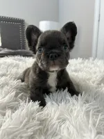 processed/deef67ab-9b61-4004-b4e9-498441072dc1/listing/f4dd4411-c204-4814-bca3-bf7278eeefc1/93cbc2cc-cb04-4249-9789-a3a5abe7afac