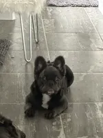 processed/deef67ab-9b61-4004-b4e9-498441072dc1/listing/f4dd4411-c204-4814-bca3-bf7278eeefc1/fae9f1b8-58a3-49aa-89b2-da3d7eecae6a