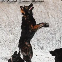 processed/deefec70-4a7b-42cc-895f-7bbb1bcc336c/facility/021caa32-c762-463c-b2fa-c8ccfcbcb874