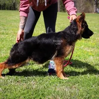 processed/deefec70-4a7b-42cc-895f-7bbb1bcc336c/facility/062724f8-b46d-4a3e-98b7-6bb98d960b0b