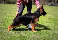 processed/deefec70-4a7b-42cc-895f-7bbb1bcc336c/facility/062724f8-b46d-4a3e-98b7-6bb98d960b0b