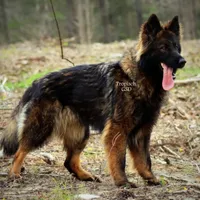 processed/deefec70-4a7b-42cc-895f-7bbb1bcc336c/facility/0c125ae7-bba2-405d-a6a8-c2b5a72d9e62