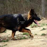 processed/deefec70-4a7b-42cc-895f-7bbb1bcc336c/facility/3ff32deb-dac2-4db9-9ec4-bcfe784a51a4