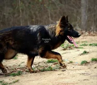 processed/deefec70-4a7b-42cc-895f-7bbb1bcc336c/facility/3ff32deb-dac2-4db9-9ec4-bcfe784a51a4