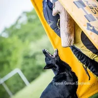 processed/deefec70-4a7b-42cc-895f-7bbb1bcc336c/facility/f48a0c62-838d-447f-8d15-3810a5e749fd