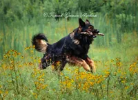 processed/deefec70-4a7b-42cc-895f-7bbb1bcc336c/listing/4d62d413-01d7-4a17-ba45-bdb16ff3c099/0f1d3589-6330-4fc7-8001-86d3cb5361d8