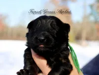 processed/deefec70-4a7b-42cc-895f-7bbb1bcc336c/listing/4d62d413-01d7-4a17-ba45-bdb16ff3c099/b7eba16c-5173-43bd-837a-a1386bd83aac