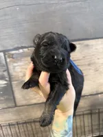 processed/deefec70-4a7b-42cc-895f-7bbb1bcc336c/listing/bff3519d-e4e9-45ce-abb7-6d9e0d8429f2/0b23ce88-ce95-409e-8969-073a448dcab9