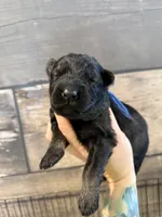 processed/deefec70-4a7b-42cc-895f-7bbb1bcc336c/listing/bff3519d-e4e9-45ce-abb7-6d9e0d8429f2/b18dbedb-52ad-4106-afc0-caf5bf9e7ebc