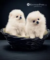 processed/def63c55-6ec8-4bf0-b68a-d5e44ebee411/facility/0427cd46-352f-4273-8322-b6adc88e7473