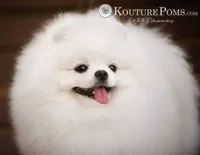 processed/def63c55-6ec8-4bf0-b68a-d5e44ebee411/facility/599ff611-525a-4865-9b5c-ff1b9a242fd2