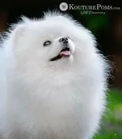 processed/def63c55-6ec8-4bf0-b68a-d5e44ebee411/facility/5aa9f20f-6225-45da-8864-dd1a4e65c831