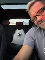 Dior, a male Pomeranian for sale in Charlotte, NC – Photo 5 of 10