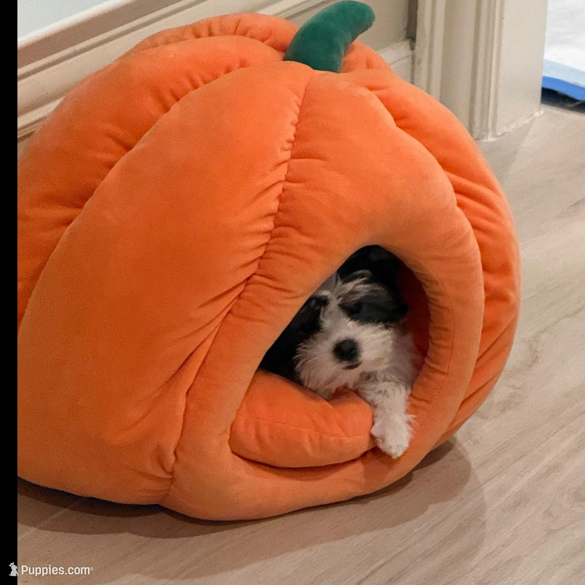 processed/def83e33-68ef-41a8-a0b8-9aa69d1749cc/facility/0007380b-2821-4cea-8a1b-11fce166921b